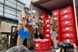 Barantin Kepri lepas ekspor produk kelapa senilai 19,2 ton tujuan Malaysia