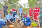 Pertamina EP tanam ribuan pohon di Lintas Jalur Gajah sebagai komitmen pelestarian lingkungan