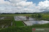 Pemkab Bantul sedang petakan ulang lahan pertanian berkelanjutan