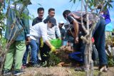 Pemkot Semarang ajak manfaatkan lahan kosong untuk pertanian singkong