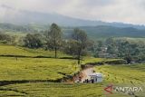 Sebanyak 1.093 pendaki jajaki  Gunung Dempo pada Juni 2025
