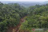 Foto udara material tanah longsor yang menimbun lahan pertanian di Desa Tenjowaringin, Kecamatan Salawu, Kabupaten Tasikmalaya, Jawa Barat, Selasa (1/7/2025). Tebing setinggi 250 meter mengalami longsor hingga menutup lahan pertanian milik warga yang mengakibatkan dua orang petani tertimbun material longsor pada Minggu (29/6/2025) siang. ANTARA FOTO/Adeng Bustomi/agr