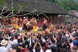 Ratusan wisatawan menyaksikan dua warga saling menyerang dengan daun pandan berduri saat tradisi mekare-kare atau perang pandan di Desa Tenganan Pegringsingan, Karangasem, Bali, Senin (23/6/2025). Tradisi tahunan tersebut merupakan rangkaian upacara persembahyangan untuk menghormati Dewa Indra atau Dewa Perang yang disaksikan oleh ratusan wisatawan nusantara maupun mancanegara. ANTARA FOTO/Nyoman Hendra Wibowo/wsj.