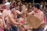 Bupati Karangasem I Gusti Putu Parwata (kedua kiri) mengikuti tradisi mekare-kare atau perang pandan di Desa Tenganan Pegringsingan, Karangasem, Bali, Senin (23/6/2025). Tradisi tahunan tersebut merupakan rangkaian upacara persembahyangan untuk menghormati Dewa Indra atau Dewa Perang yang disaksikan oleh ratusan wisatawan nusantara maupun mancanegara. ANTARA FOTO/Nyoman Hendra Wibowo/wsj.