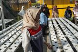 Pertamina optimalkan 