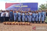 Danlanud Hasanudin panen jagung di Maros dukung ketahanan pangan