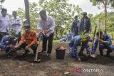 Wakil Bupati Tasikmalaya Asep Sopari Al Ayubi (kedua kiri) bersama Komandan Lanud Wiriadinata Letkol Pnb Taufik Agus Hidayat (kedua kanan) menanam pohon pada acara penanaman seribu pohon dan donor darah di Gunung Galunggung, Kabupaten Tasikmalaya, Jawa Barat, Rabu (2/7/2025). Acara bertema Ngaagungkeun Galunggung dengan menanam seribu pohon dan donor darah itu digelar TNI AU Lanud Wiriadinata dalam rangkaian Hari Bakti Ke-78 TNI AU yang bertujuan untuk menjaga kelestarian alam. ANTARA FOTO/Adeng Bustomi/agr