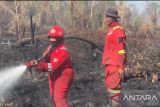 Masitoh, Penjaga hutan belantara dari api yang membara