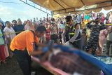 Polda: 27 korban kapal tenggelam sudah diidentifikasi, 4 orang tewas