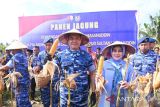 TNI AU perkuat ketahanan pangan