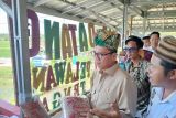 Menteri Desa dan Pembangunan Daerah Tertinggal Republik Indonesia Yandri Susanto saat melihat produk-produk UMKM Desa Namang dalam acara peresmian Koperasi Merah Putih di Desa Namang Kabupaten Bangka Tengah Provinsi Kepulauan Bangka Belitung pada Kamis (3/7/2025). Koperasi Desa (Kopdes) Merah Putih dapat dikembangkan sesuai dengan potensi desa masing-masing namun diwajibkan adanya geray-geray yang sudah ditentukan pemerintah seperti Gas Elpiji, pupuk, sembako, simpan pinjam, apotek desa, klinik desa dan lain sebagainya sehingga sesuai harapan Bapak Presiden RI Prabowo Subianto bahwa pelayanan kepada masyarakat desa harus prima dan tidak ada lagi kemiskinan dan korban rentenir.  (Antara Babel/ Rustam Effendi)