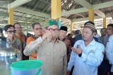Menteri Desa dan Pembangunan Daerah Tertinggal Republik Indonesia Yandri Susanto saat mencoba Madu Pelawan salah satu produk UMKM Desa Namang saat acara peresmian Koperasi Merah Putih di Desa Namang Kabupaten Bangka Tengah Provinsi Kepulauan Bangka Belitung pada Kamis (3/7/2025).  (Antara Babel/ Rustam Effendi)