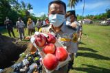 Pemusnahan media pembawa hama penyakit di Padang