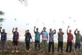 PLTU Batang lanjutkan tanam mangrove di kawasan pantai