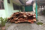 Polisi Kehutanan gencarkan patroli cegah ilegal loging di hutan lindung Pasaman