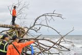 Tim SAR gabungan melakukan penyisiran dalam operasi SAR tenggelamnya KMP Tunu Pratama Jaya di pesisir Pantai Pebuahan Jembrana, Bali, Jumat (4/7/2025). Penyisiran tersebut terus dilakukan di wilayah perairan dan pesisir kawasan yang berjarak sekitar 20 kilometer dari daerah Gilimanuk tersebut untuk mencari korban tenggelamnya KMP Tunu Pratama Jaya di Selat Bali saat berlayar dari Pelabuhan Ketapang menuju Pelabuhan Gilimanuk. ANTARA FOTO/Fikri Yusuf/wsj.