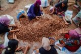 Pekerja memilah buah pinang kering di Desa Tegalrandu, Kecamatan klakah, Lumajang, Jawa Timur, Sabtu (5/7/2025). Berdasarkan keterangan pengepul, produksi buah pinang rumahan tersebut dapat memproses 2 ton pinang basah perhari yang dibeli dari petani seharga Rp7 ribu per kilogram dan kemudian di pasarkan ke sejumlah daerah Indonesia hingga ekspor ke India. Antara Jatim/Irfan Sumanjaya/um
