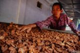Pekerja menata buah pinang pada oven di Desa Tegalrandu, Kecamatan klakah, Lumajang, Jawa Timur, Sabtu (5/7/2025). Berdasarkan keterangan pengepul, produksi buah pinang rumahan tersebut dapat memproses 2 ton pinang basah perhari yang dibeli dari petani seharga Rp7 ribu per kilogram dan kemudian di pasarkan ke sejumlah daerah Indonesia hingga ekspor ke India. Antara Jatim/Irfan Sumanjaya/um