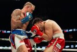 Jake Paul incar dua juara dunia tinju untuk laga berikutnya