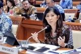 Menkomdigi kaji pelibatan swasta dalam pemerataan akses internet di wilayah blank spot