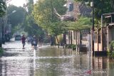 30 ribu jiwa terdampak banjir di Mataram