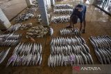 Pedagang mengumpulkan ikan hasil tangkapan nelayan sebelum di lelang di tempat pelelangan ikan Majakerta, Balongan, Indramayu, Jawa Barat, Senin (7/7/2025). Kementerian Kelautan dan Perikanan (KKP) mencatat penerimaan negara bukan pajak (PNBP) dari sektor perikanan sejak Januari hingga Juni 2025 sebesar Rp975,74 miliar, naik 13 persen dibandingkan dengan perolehan di periode yang sama pada 2024 senilai Rp861,76 miliar. ANTARA FOTO/Dedhez Anggara/agr
