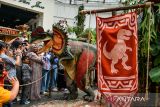 Petugas mengenakan kostum dinosaurus jenis Dilophosaurus menyapa pengunjung wahana Jurrasic Java di pusat perbelanjaan Paris Van Java, Bandung, Jawa Barat, Senin (7/7/2025). Pusat perbelanjaan tersebut menggelar wahana Jurassic Java yang menampilkan dua ekor 