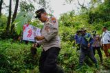 Petugas kepolisian Polres Pronojiwo membawa bibit pohon Pinang Jawa di kawasan hutan Taman Nasional Bromo Tengger Semeru (TNBTS), Pronojiwo, Lumajang, Jawa Timur, Selasa (8/7/2025). Polsek Pronojiwo bersama TNBTS menggelar penanaman 79 bibit pohon Pinang Jawa di kawasan hutan Ranu Darungan dalam rangka melestarikan sumber mata air sekaligus memperingati hari Bhayangkara ke 79. ANTARA Jatim/Irfan Sumanjaya/mas.