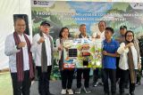 Hutan tumbuh, harapan kembali di Lombok Tengah
