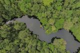 Foto udara Danau Ranu Darungan di Pronojiwo, Lumajang, Jawa Timur, Selasa (8/7/2025). Wisata minat khusus di kawasan TNBTS yang memiliki sejumlah fasilitas seperti empat spot pengamatan burung, taman edukasi dan persemaian anggrek, camp ground dengan keanekaragam hayati dan ekosistem hutan Ranu Darungan tersebut merupakan rekreasi wisata alam berbasis pendidikan dan konservasi. ANTARA Jatim/Irfan Sumanjaya/mas.