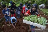 Anak-anak menanam bibit kembang kol saat edukasi urban farming di KWT Gemas Implan, Jatiuwung, Kota Tangerang, Banten,Â Rabu (9/7/2025). Kegiatan tersebut untuk mengedukasi anak-anak dalam memahami siklus hidup tanaman dan menumbuhkan kepedulian terhadap pelestarian lingkungan. ANTARA FOTO/Putra M. Akbar/gp