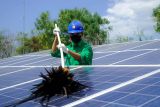 Listrik untuk rakyat, PLN tingkatkan kontribusi energi hijau di NTB