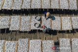 Foto udara pekerja menjemur ikan kering jenis Tanjan di desa Lombang, Juntinyuat, Indramayu, Jawa Barat, Rabu (9/7/2025). Pengusaha setempat mengaku produksi ikan kering di daerah itu menurun hingga 60 persen akibat proses pengeringan terkendala cuaca saat musim kemarau basah serta minimnya pasokan ikan dari nelayan. ANTARA FOTO/Dedhez Anggara/agr