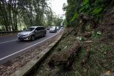 Kendaraan melintas di lokasi rawan longsor jalur Ngantang, Malang, Jawa Timur, Rabu (9/7/2025). Badan Meteorologi, Klimatologi, dan Geofisika (BMKG) Juanda memperingatkan tentang potensi cuaca ekstrem yang diperkirakan terjadi di wilayah Jatim pada 8-11 Juli 2025 yang dipengaruhi adanya gelombang atmosfer Kelvin dan aktifnya gangguan atmosfer Low Frequency, sehingga dapat mengakibatkan peningkatan pembentukan awan hujan dan dapat menimbulkan potensi bencana hidrometeorologi, seperti banjir, tanah longsor, hingga pohon tumbang. ANTARA Jatim/Muhammad Mada/mas.