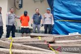 Polres Donggala tangkap pelaku pembalakan liar