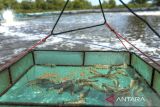 Udang vaname yang siap dipanen di Desa Domas, Kabupaten, Serang, Banten, Kamis (10/7/2025). BUMDes Domas bekerja sama dengan masyarakat setempat mengembangkan budi daya udang vaname sistem kolam bioflok dengan memanfaatkan lahan pertanian milik warga yang tidak produktif sebagai lokasi budi daya yang dapat menghasilkan 1,2 ton udang vaname per kolamnya, dan telah dipasarkan ke sejumlah kota di Bandung, Jakarta, dan Tangerang. ANTARA FOTO/Muhammad Bagus Khoirunas/gp