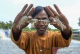Pengurus Badan Usaha Milik Desa (BUMDes) menunjukkan udang vaname hasil budi daya dengan sistem bioflok di Desa Domas, Kabupaten, Serang, Banten, Kamis (10/7/2025). BUMDes Domas bekerja sama dengan masyarakat setempat mengembangkan budi daya udang vaname sistem kolam bioflok dengan memanfaatkan lahan pertanian milik warga yang tidak produktif sebagai lokasi budi daya yang dapat menghasilkan 1,2 ton udang vaname per kolamnya, dan telah dipasarkan ke sejumlah kota di Bandung, Jakarta, dan Tangerang. ANTARA FOTO/Muhammad Bagus Khoirunas/gp