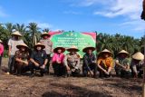 Polres Pasaman Barat targetkan 250 hektare tanam jagung pada kuartal III