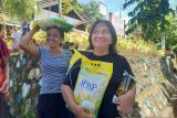 Bulog intervensi pasar guna redam kenaikan harga beras di Sulut