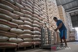 Pekerja menimbang beras hasil serapan di Gudang Bulog Utama, Kota Cimahi, Jawa Barat, Kamis (10/7/2025). Kementerian Pertanian (Kementan) menyatakan stok beras Indonesia telah mencapai 4,2 juta ton di gudang Perum Bulog, stok beras ini merupakan yang tertinggi sejak tahun 1969 atau saat Bulog berdiri. ANTARA FOTO/Abdan Syakura/agr