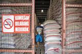 Pekerja mengangkat karung berisi beras saat bongkar muat di Gudang Bulog Utama, Kota Cimahi, Jawa Barat, Kamis (10/7/2025). Kementerian Pertanian (Kementan) menyatakan stok beras Indonesia telah mencapai 4,2 juta ton di gudang Perum Bulog, stok beras ini merupakan yang tertinggi sejak tahun 1969 atau saat Bulog berdiri. ANTARA FOTO/Abdan Syakura/agr