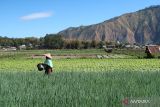 Pemprov NTB mewanti-wanti petani tanam komoditi pertanian tahan cuaca