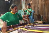 Perjuangan siswa Sekolah Rakyat di Pulau Timor