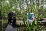 Pengunjung berada di kawasan Geosite Geopark Meratus Pulau Curiak, Kabupaten Barito Kuala, Kalimantan Selatan, Sabtu (12/7/2025). Pulau Curiak sebuah pulau kecil di delta Sungai Barito itu dikenal sebagai pusat konservasi bekantan dan menjadi bagian dari Geopark Meratus. ANTARA/Bayu Pratama S.