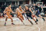 Tundukkan Satria Muda, Pelita Jaya tembus ke final IBL 2025