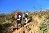 Peserta mengikuti pendakian Ekspedisi Lawu Bersama Media bertema Menyatu Menuju Puncak Lawu di perbatasan antara Kabupaten Karanganyar, Jawa Tengah, dan Kabupaten Magetan, Jawa Timur, Sabtu (12/7/2025). Kegiatan yang digelar Dinas Kominfo Kabupaten Magetan selama dua hari tersebut diikuti 20 orang terdiri dari wartawan dan pegawai Dinas Kominfo dipandu sejumlah petugas Badan Penanggulangan Bencana Daerah (BPBD) yang bertujuan untuk melihat langsung kondisi puncak gunung Lawu, sehingga bila membuat berita bukan hanya berdasar penjelasan narasumber namun juga berdasarkan pengamatannya sendiri. Antara Jatim/Siswowidodo/um