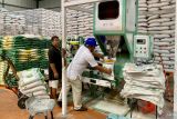 Bulog Batam pastikan 4.000 ton beras bebas hama