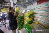 Pedagang memeriksa kondisi beras SPHP di salah satu kios di Pasar Induk Indramayu, Jawa Barat, Minggu (13/5/2025). Bulog Cabang Indramayu bersama Satgas Pangan melakukan pengawasan distribusi beras SPHP untuk mencegah penyelewengan serta memastikan kecukupan stok beras di pasar. ANTARA FOTO/Dedhez Anggara/agr