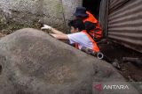 Tim peneliti melakukan ekskavasi batu yang diduga Prasasti Cikapundung Tamansari di permukiman padat Tamansari, Bandung, Jawa Barat, Senin (14/7/2025). Tim Dinas Kebudayaan dan Pariwisata Kota Bandung meneliti batu dengan tulisan yang diduga beraksara Sunda Kuna dari rentang abad 9 hingga abad 19 tersebut guna memastikan keaslian serta nilai arkeologis dari batu yang pertama kali ditemukan pada tahun 1959 di derah aliran Sungai Cikapundung. ANTARA FOTO/Novrian Arbi/agr
