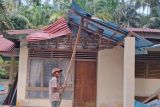 Tujuh rumah di nagari Padang Pariaman di timpa pohon tumbang